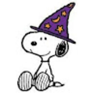 Meet your Posher, Raven